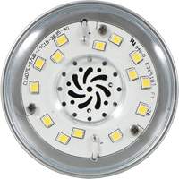 Ultra LED™ High Lumen Lamp, HID, 27 W, 3600 Lumens, Medium Base XI553 | Planification Entrepots Molloy