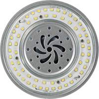 Lampe haute luminosité Ultra LED<sup>MC</sup>, DHI, 80 W, 10800 lumens, base Mogul XI562 | Planification Entrepots Molloy