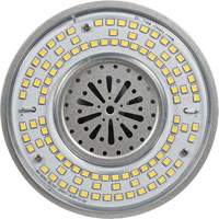 Lampe haute luminosité Ultra LED<sup>MC</sup>, DHI, 100 W, 13500 lumens, base Mogul XI565 | Planification Entrepots Molloy