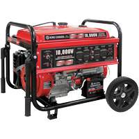 Gasoline Generator with Electric Start, 10000 W Surge, 7500 W Rated, 120 V/240 V, 25 L Tank XI762 | Planification Entrepots Molloy