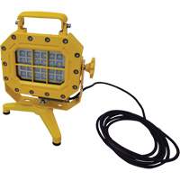 Explosion Proof Floodlight with Stand, LED, 40 W, 5600 Lumens, Aluminum Housing XJ040 | Planification Entrepots Molloy