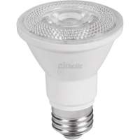 Dimmable LED Bulb, Flood, 7 W, 500 Lumens, PAR20 Base XJ062 | Planification Entrepots Molloy