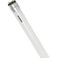 SubstiTUBE<sup>®</sup> Frosted Glass LED Bulb, 12 W, T8, 5000 K, 48" L XJ097 | Planification Entrepots Molloy