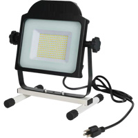 Floodlight, LED, 100 W, 10000 Lumens XJ197 | Planification Entrepots Molloy