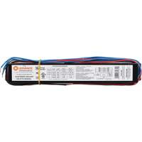 T8 3-Lamp Fluorescent Ballast Planification Entrepots Molloy