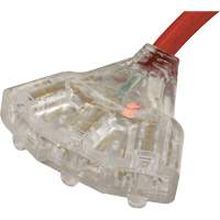 Rallonge pour g&eacute;n&eacute;ratrice avec triple fiche, STW, AWG 10, 3 prise(s), 25' Planification Entrepots Molloy